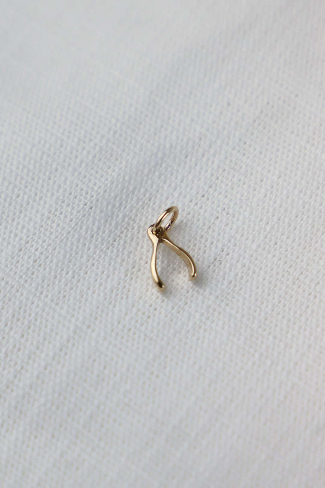 WISHBONE CHARM