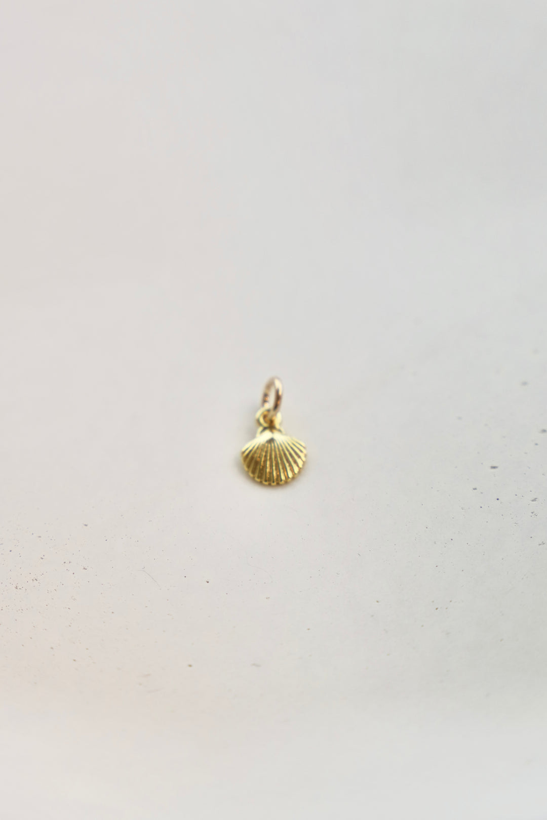 SHELL CHARM