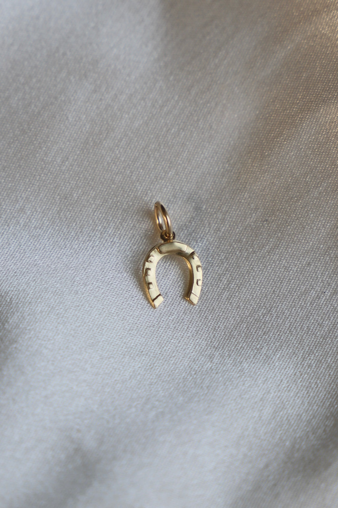 HORSESHOE CHARM